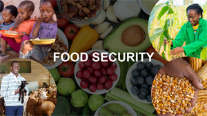 Food-Security